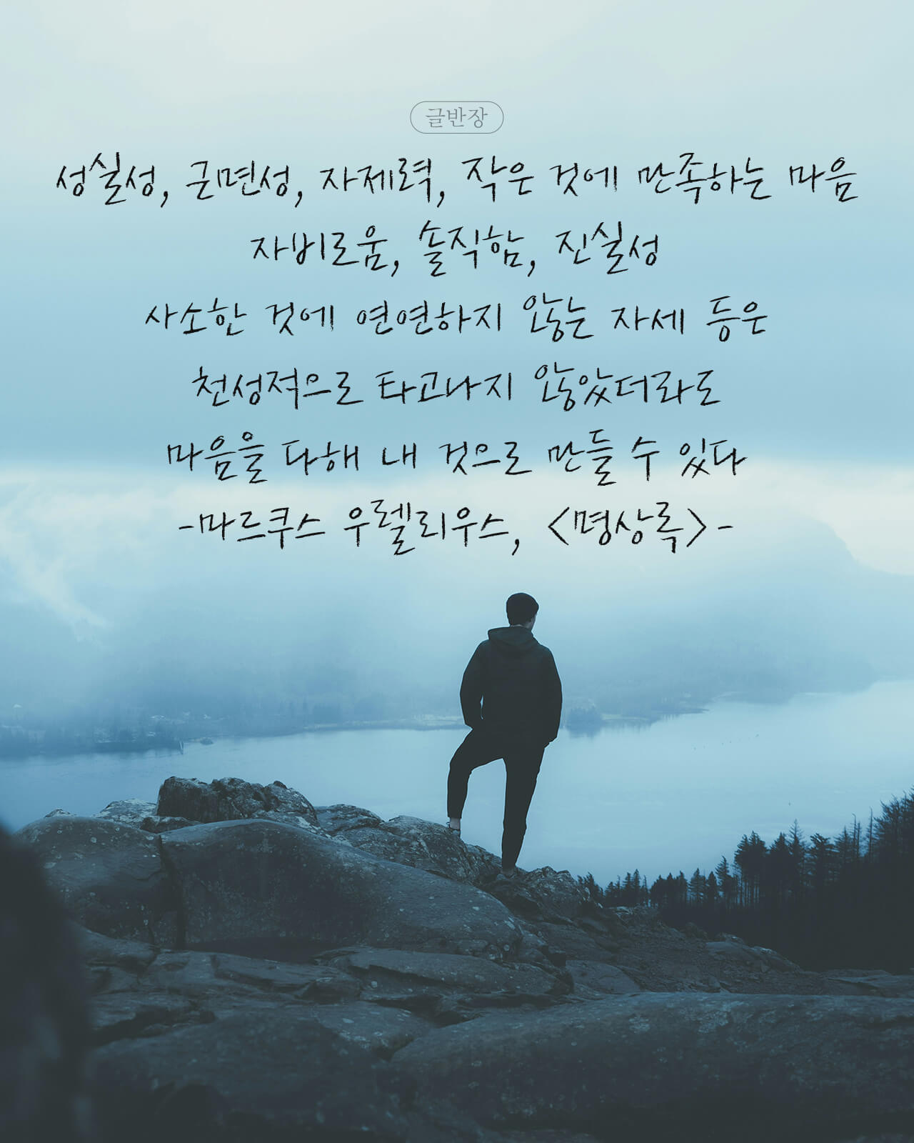 천성적으로 타고나지 않았더라도 마음을 다해 내 것으로 만들 수 있는 것 - 마르쿠스 우렐리우스, <명상록>
