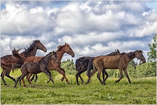 신용이 중요하다