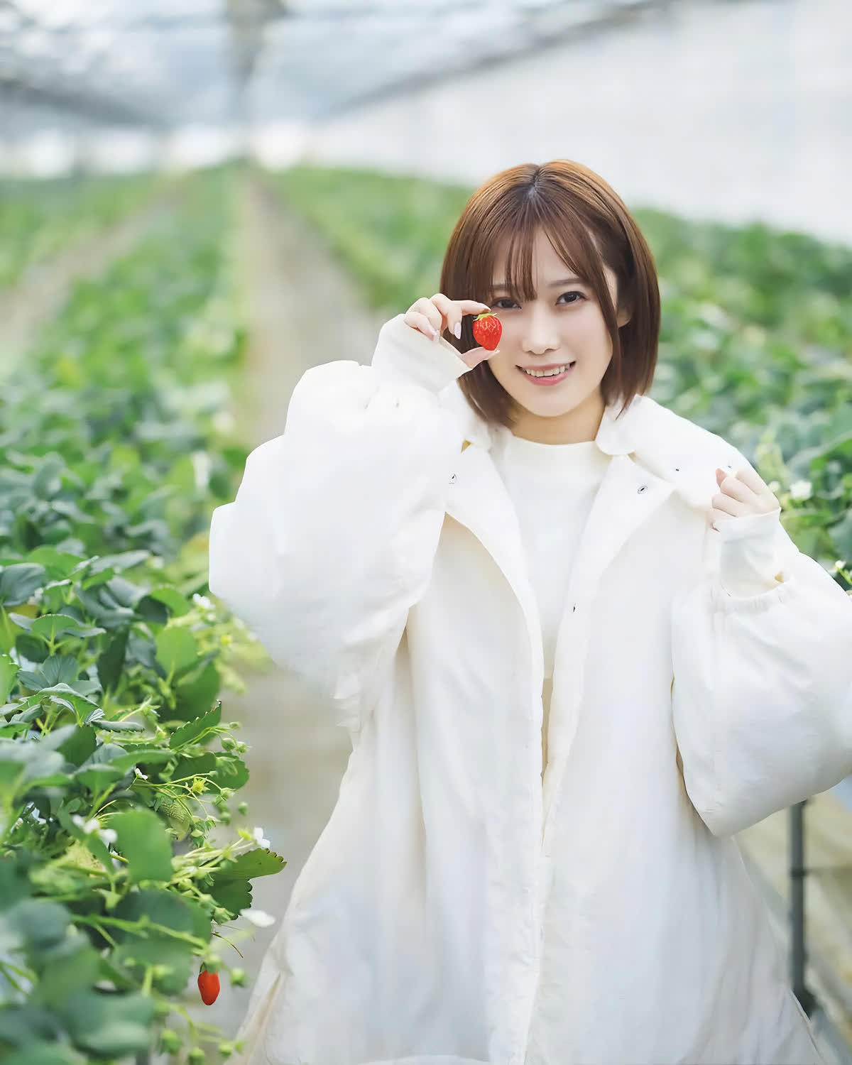 나츠요시 유코(夏吉ゆうこ, なつよし ゆうこ) - 플래시 2025/4.15