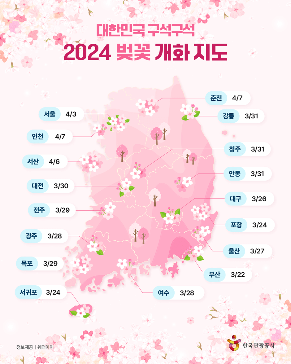 2024 벚꽃 개화 지도