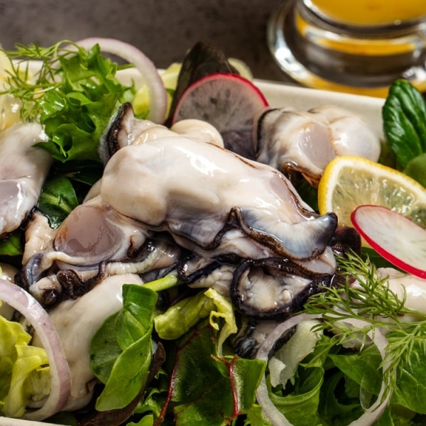 [G마켓] 통영산 통통 생굴 속살 1kgx2 총2kg (18,920원 / 무료)