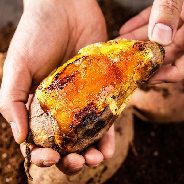 [네이버플러스 스토어] 해남 고구마 3kg 5kg 베니하루카 (6,900원 / 무료)