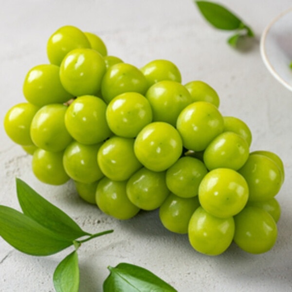 [옥션] 샤인머스켓 정품 2kg 3수 (10,440원 / 무료)