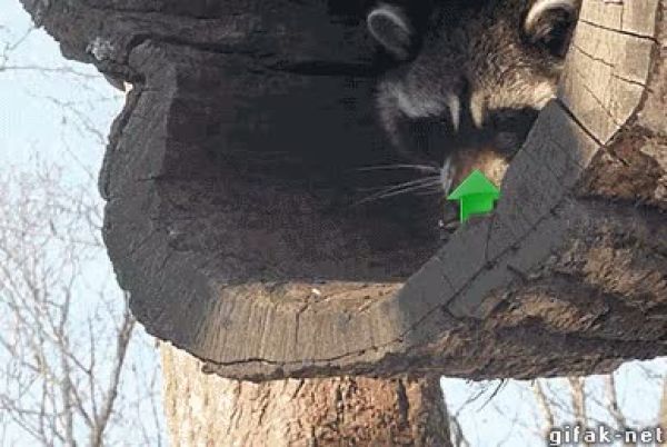 추천