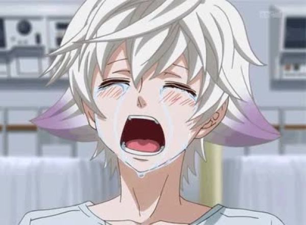 슬픔