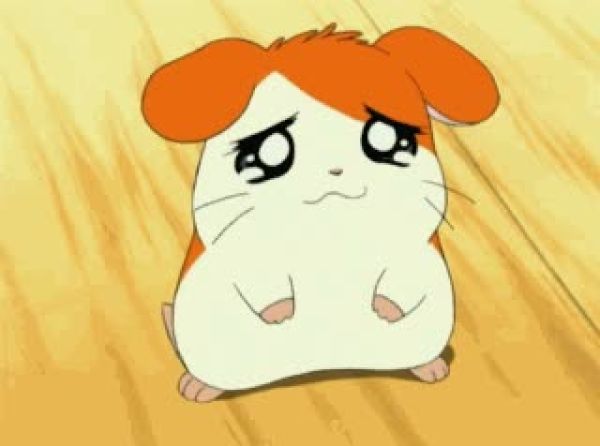 슬픔