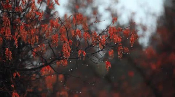 계절•날씨