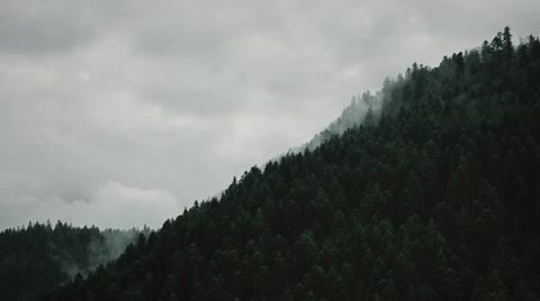 자연•풍경