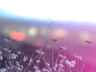 자연•풍경