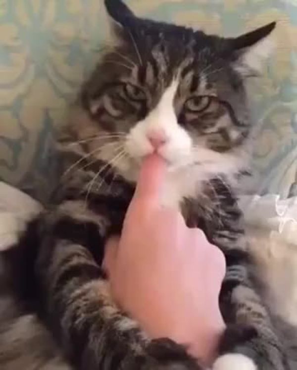 므흣