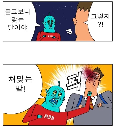 쳐맞는_말
